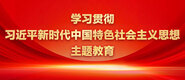 操屄啊啊啊学习贯彻习近平新时代中国特色社会主义思想主题教育_fororder_ad-371X160(2)